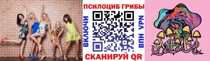 Псилоцибиновые грибы Psilocybe  цены   гидра зеркало  Красноармейск 